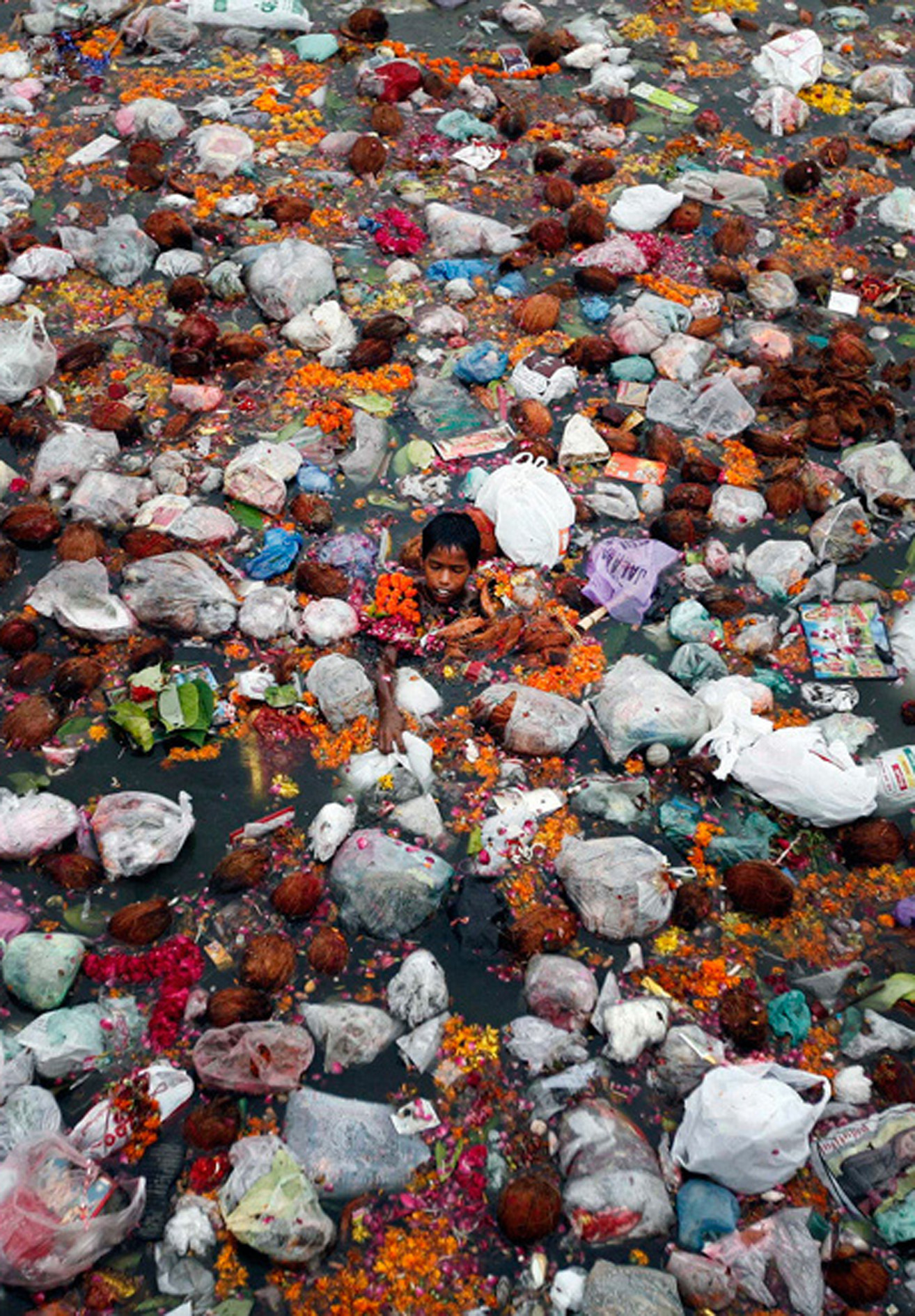Dia Mundial do Meio Ambiente - Foto: REUTERS/Amit Dave .